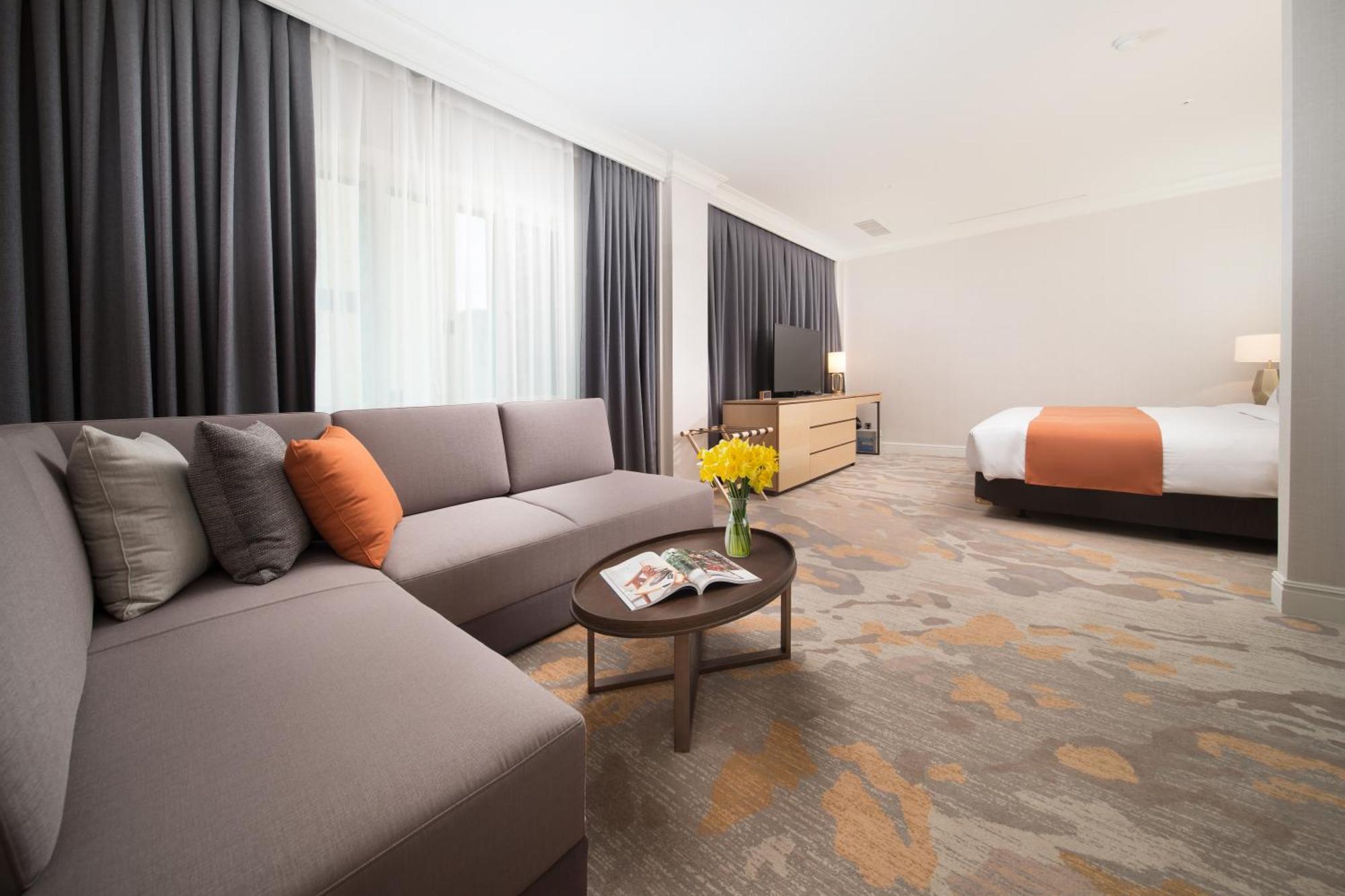Estudio con cama extragrande